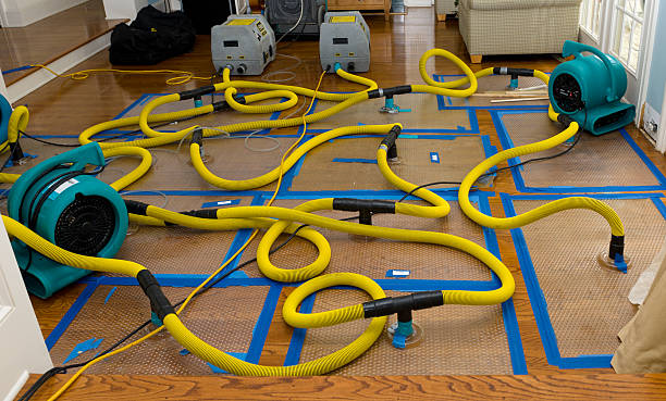 Professional Emergency Water Removal technician working in Stoddard, WI